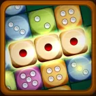 Dice Puzzle